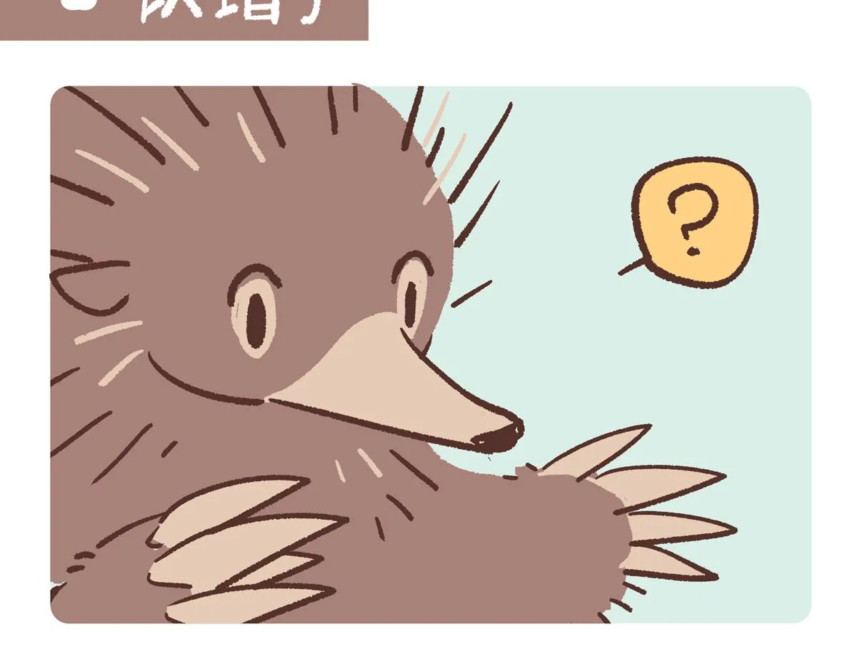 胖达熊猫棒球漫画,第255话2图